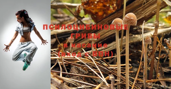 мдпв Остров