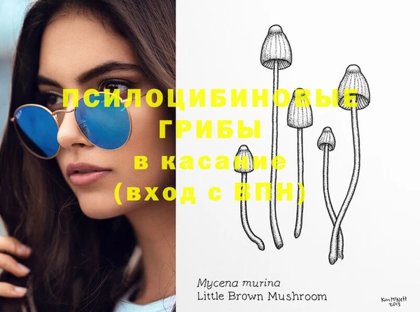 таблы Осташков